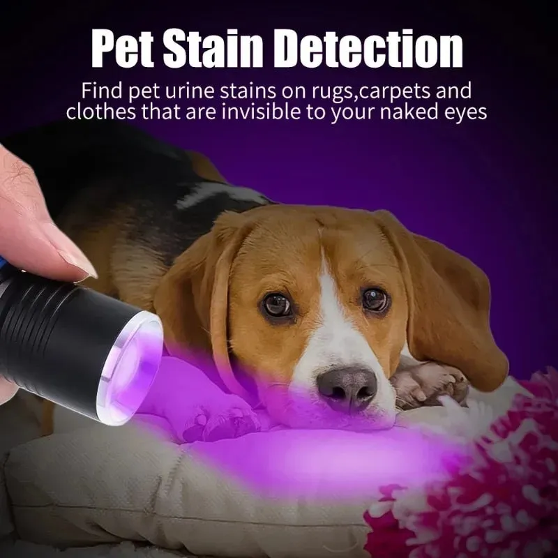 395nm Zoomable USB Rechargeable UV Light Ultraviolet Flashlight for Pet Urine Detector Resin Curing