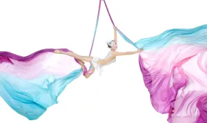 Aerial Silks 13 Yards Hardware Kit Acrobatics Dance double Point Yoga Hammock Include Carabiners Rescue 8 Swivel