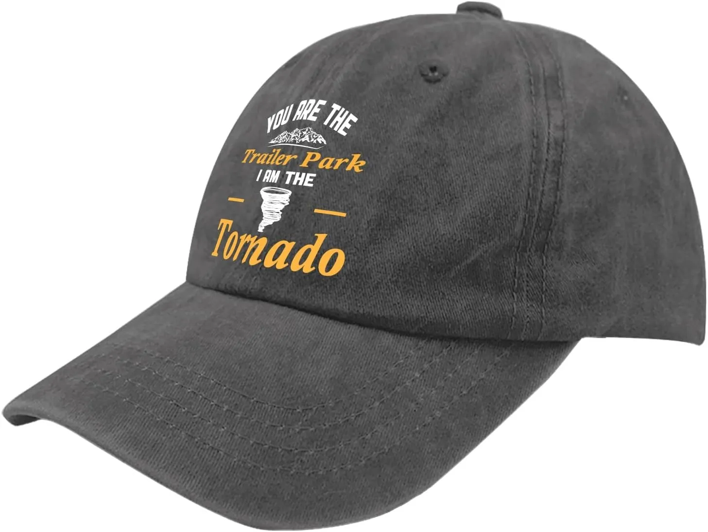 Cap You are Trailer Park I Am The Tornado Dad Hat for Men Graphic Denim Hats Adjustable