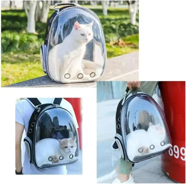 Cat Backpack Carrier Bubble Bag for Adventures with Your Cat