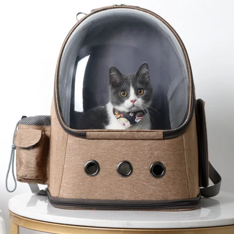 Cat Backpack