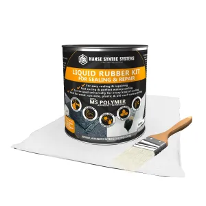 HSS Liquid Rubber Kit - for Roof & Wall - MS-Polymer Technology - incl. Reinforcement & Brush - Solvent Free, Longlasting Waterproof sealant - Black - 25.7oz