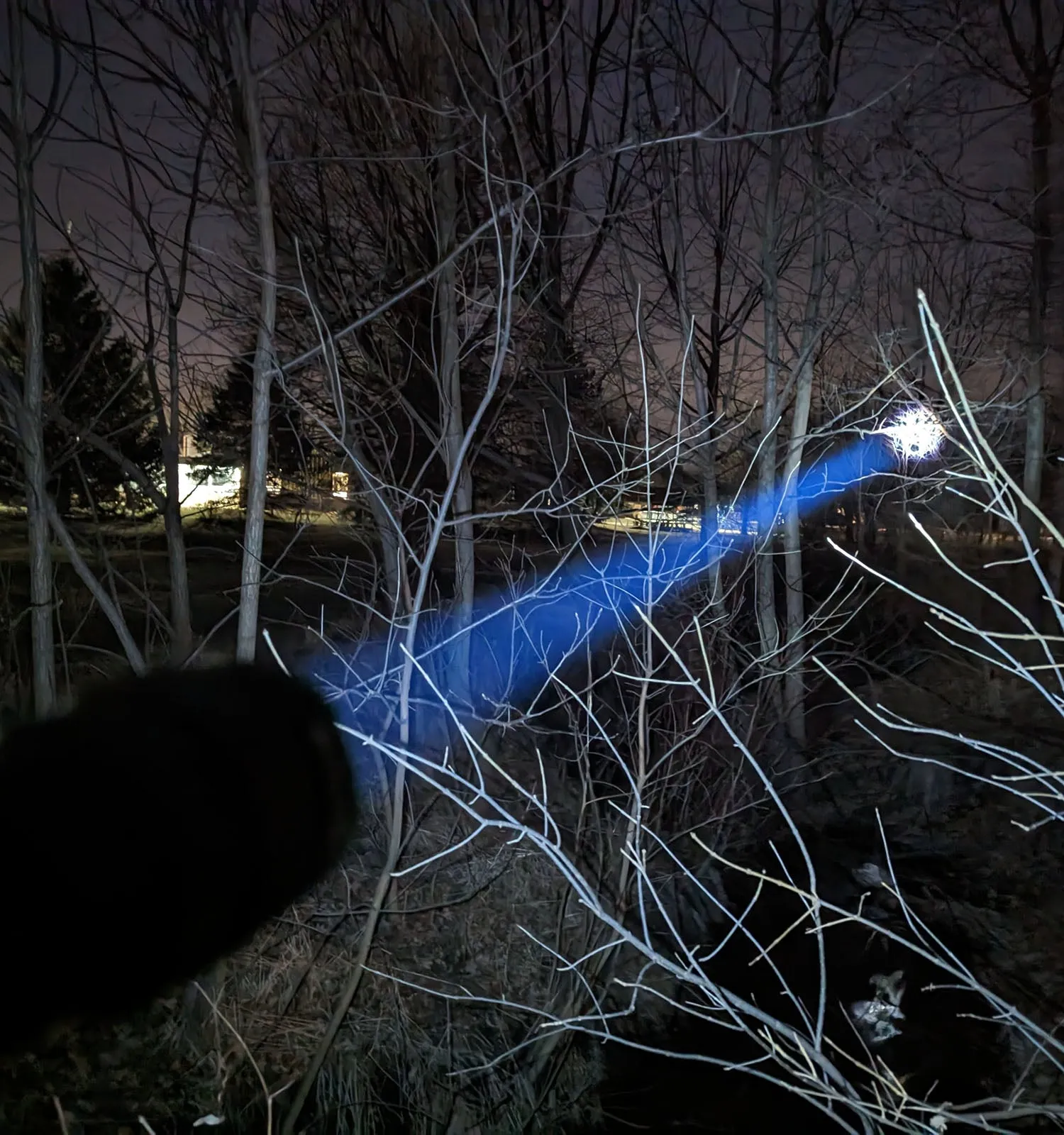 Kodiak® Nearly 1 Mile Beam Tactical Flashlight