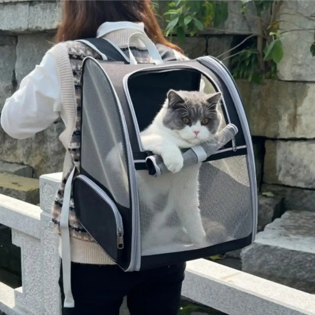 Large Foldable Breathable Portable Cat Dog Bag Pet Backpack