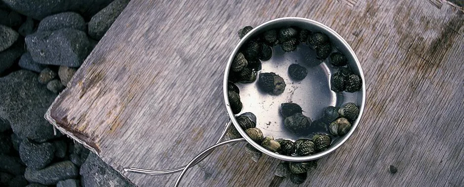 Multi Compact Cookset - Titanium