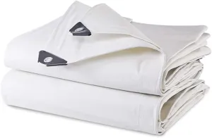 Tarpaulin Tarpaulin Rain Shade Cloth Tarp Tarpaulin Awning Groundsheet-Plastic Cloth, Thick, Durable, Rainproof, Antifreeze, Sunscreen, Shading, Dripping (Color : 10 * 6m)