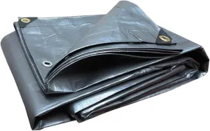 Tarps Now 6x12 ft Heavy Duty Plastic Tarp (Poly Tarp)|12 MIL Waterproof Cover|Rip & Tear-Resistant|Rustproof Grommets & Reinforced Edges|Ideal for Roof, Camping, Tent & Outdoor Protection - Silver