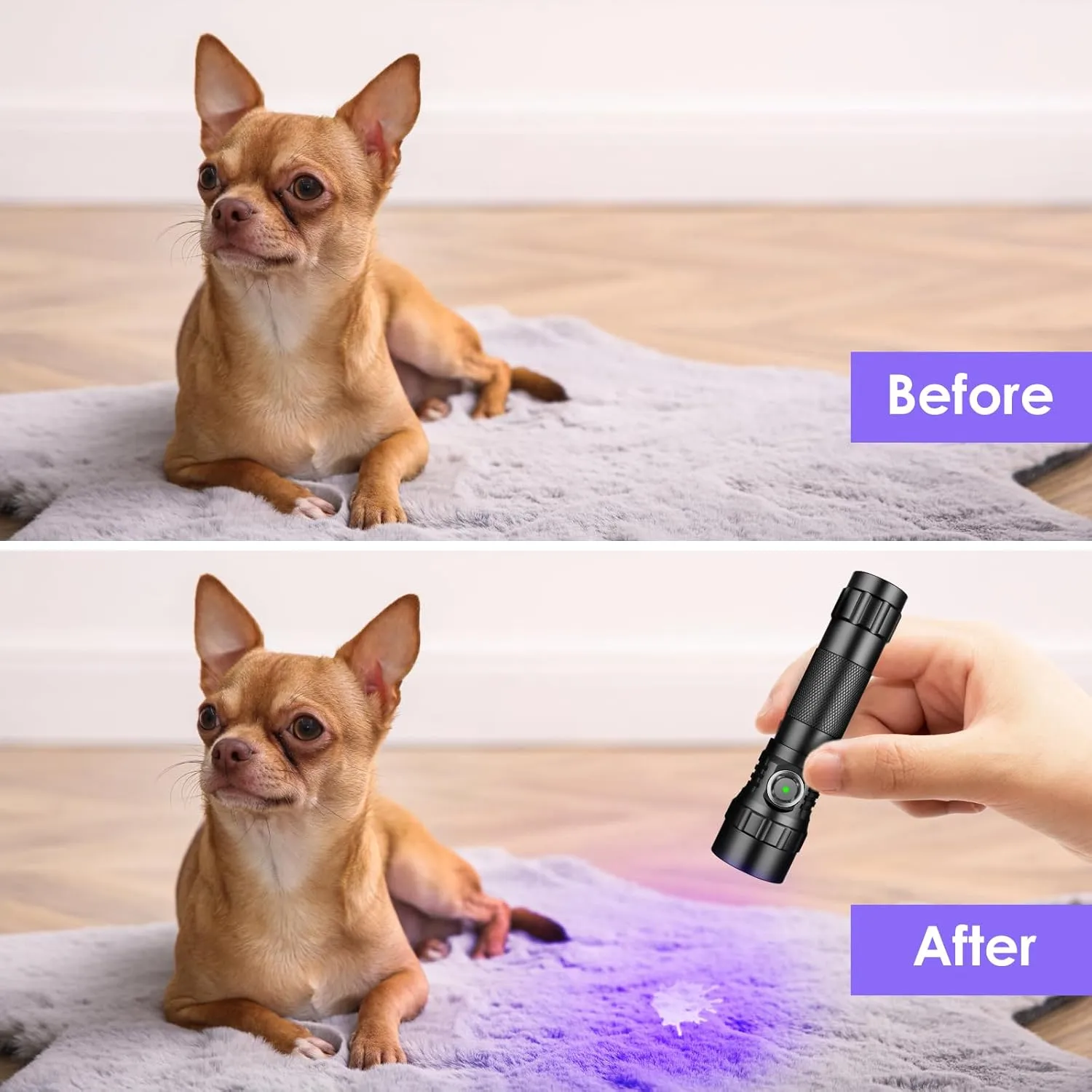 UniqueFire 501B-Pro 395nm UV Flashlight, High Power 10W USB Rechargeable UV Resin Light, 2 Mode LED Handheld Uv Flashlights Powerful Handheld Detector for Pet Urine, Fluorescence etc.