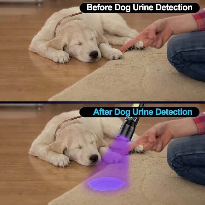 UV Flashlight Black Light, 2 Pack 3 in 1 Super Bright Small Rechargeable Flashlights 1200 High Lumens, Waterproof Magnetic LED Flashlight, 7 Modes Pocket Flash Light for Pet Urine Detection