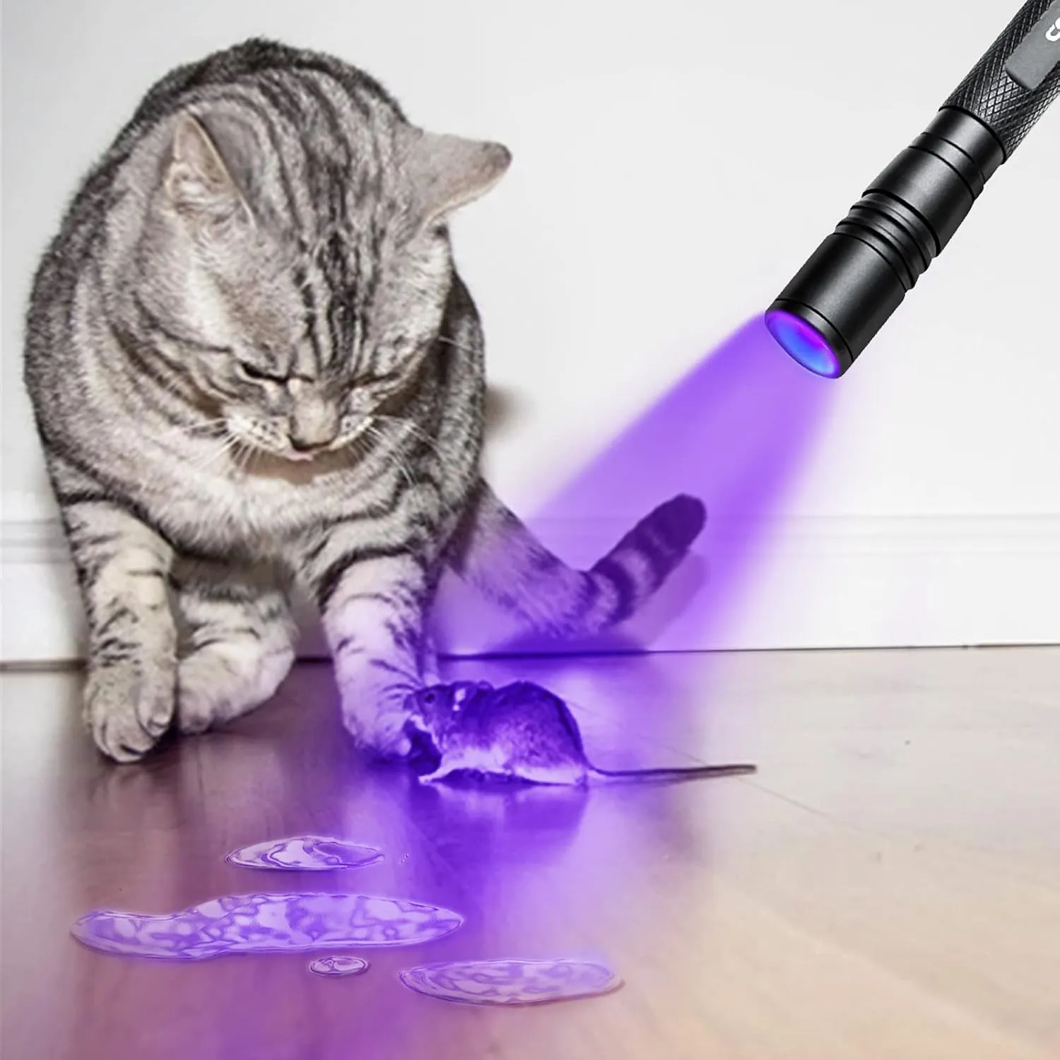 UV Flashlight LED 395nm Blacklight, Zoomable Pen Flashlight IP54 Waterproof Detector for Pet Urine, Cat Dog Stains, Bed Bug, Household Wardrobe Toilet - 3 Pack