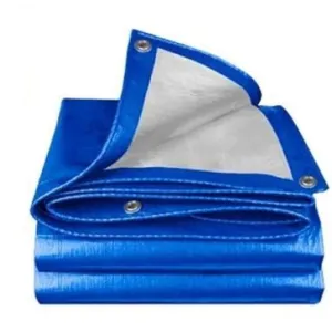 Wadfow 3mx3m Polyethylene Tarp - WTQ1833